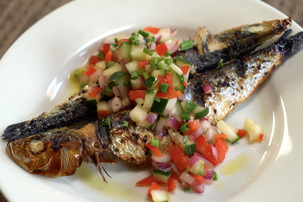 a fish
