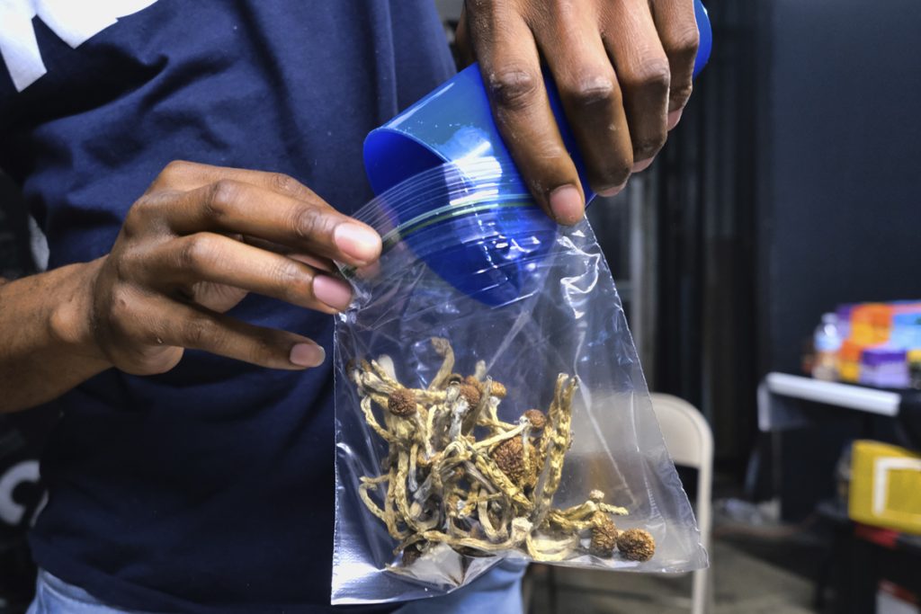 Magic Mushrooms A person bags psilocybin mushrooms at a pop-up cannabis market in Los Angeles. (AP Photo/Richard Vogel)