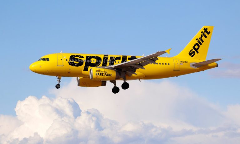 An Airbus A319 jetliner, belonging to Spirit Airlines, landing