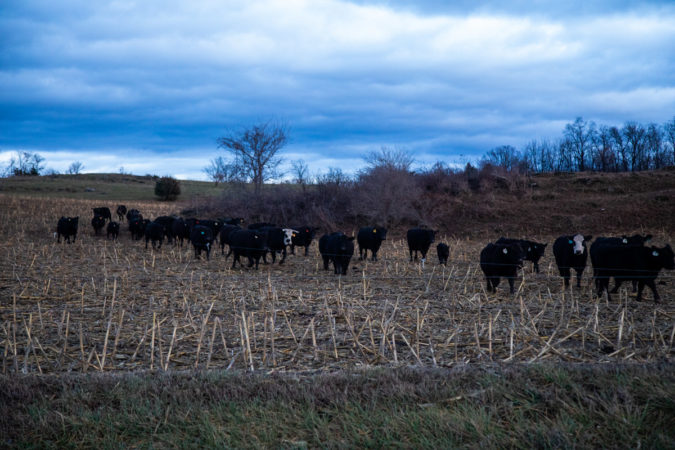 Scenes from Chambersburg and Franklin County, December 2019. (Jeffrey Stockbridge for Keystone Crossroads)
