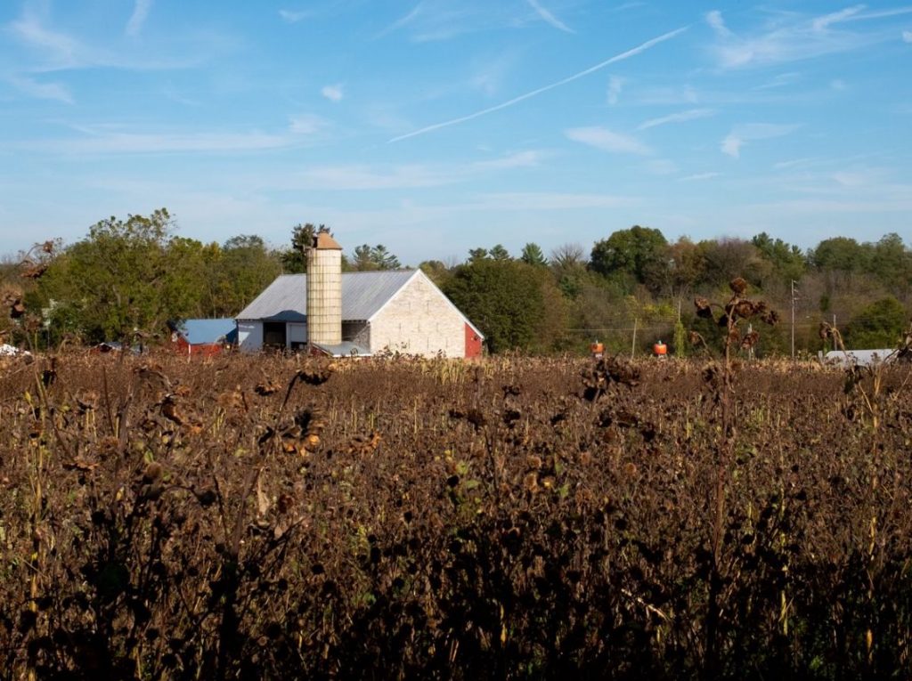 Lancaster-Farm-Land-10-19-19-2-e1578951896846-1920×888 A farm Lancaster County is seen in this photo taken Oct. 19, 2019. (Ian Sterling for WITF)