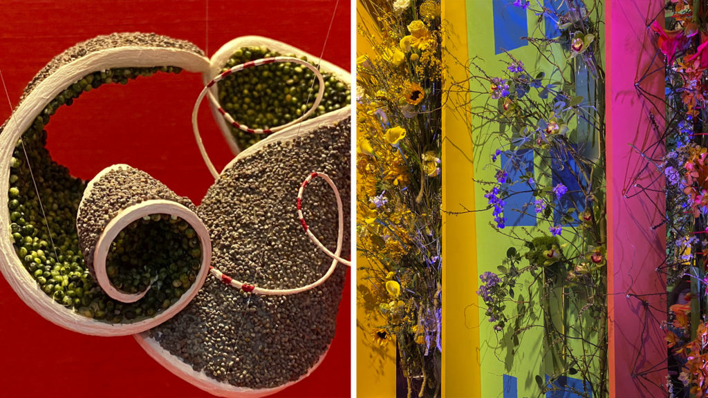 flowershow2020-header1 Two very different but equally striking displays at the 2020 Philadelphia Flower Show (Danya Henninger/Billy Penn)