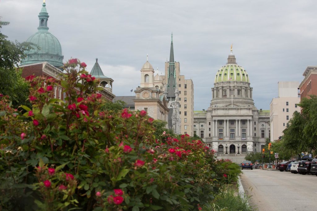 j5rdev8h21b7eaykkbbjad9440 (1) (Kalim A. Bhatti/The Philadelphia Inquirer)