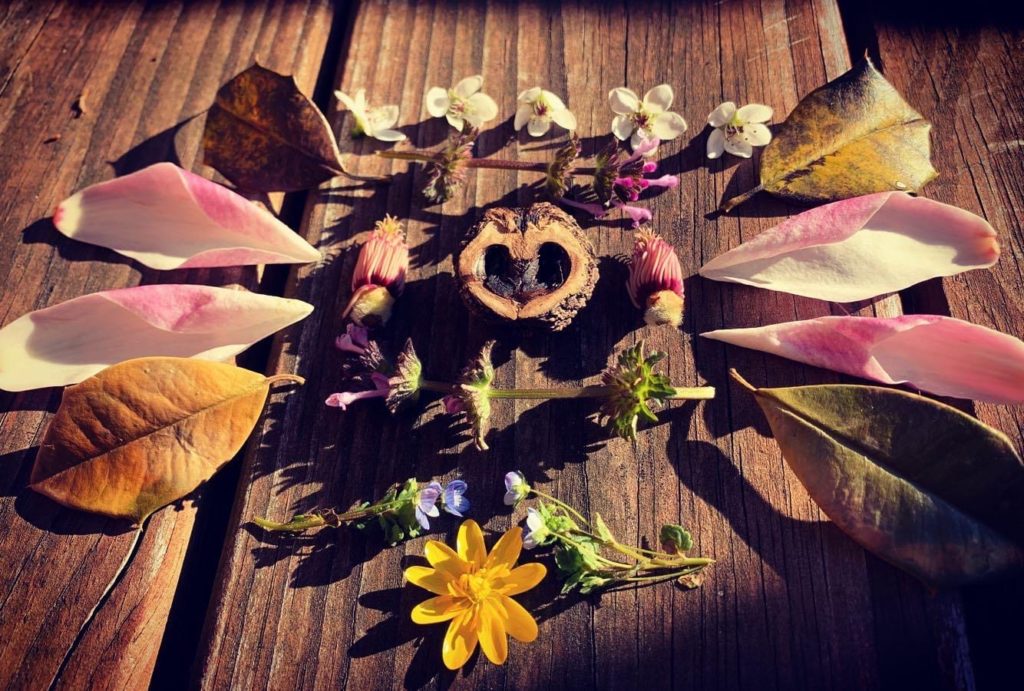 mari-carmen2 Mari-Carmen Farmer made this arrangement from pods, leaves, buds and blossoms she found along a recent hike. (Mari-Carmen Farmer)