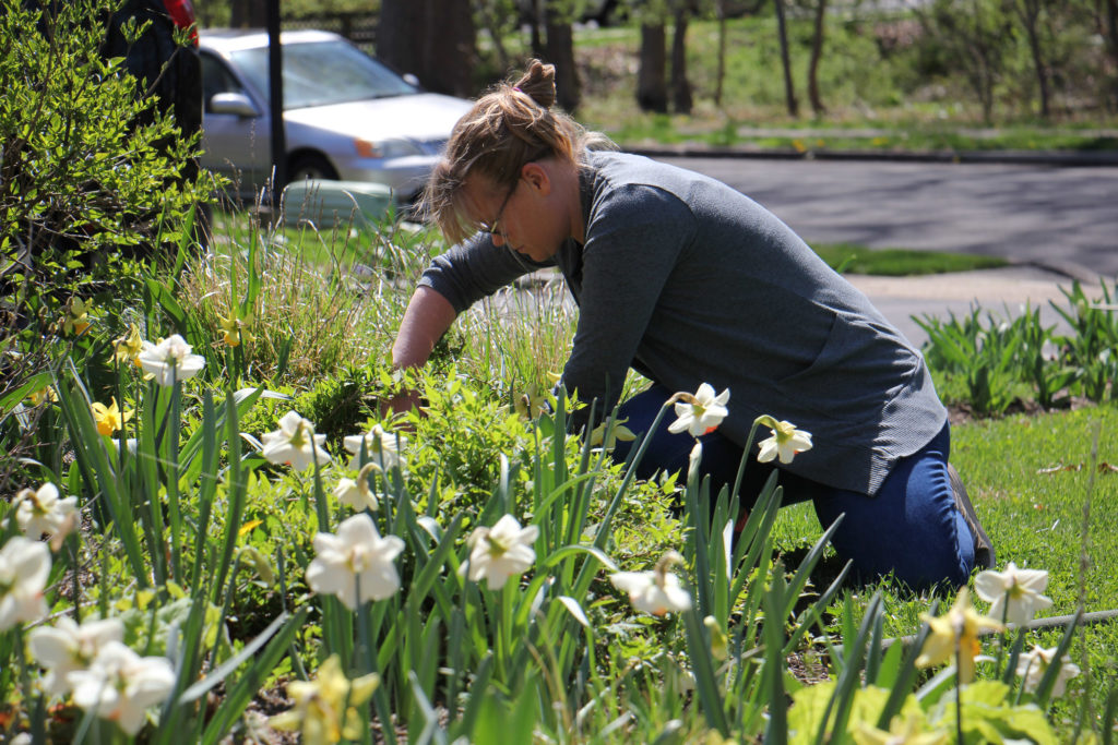 2020 04 06-e lee-elizabeth haegele-morrisville-small business stimulus landscaper With her landscaping business closed because of the coronavirus pandemic, Elizabeth Haegele works in her own garden in Morrisville. (Emma Lee/WHYY)