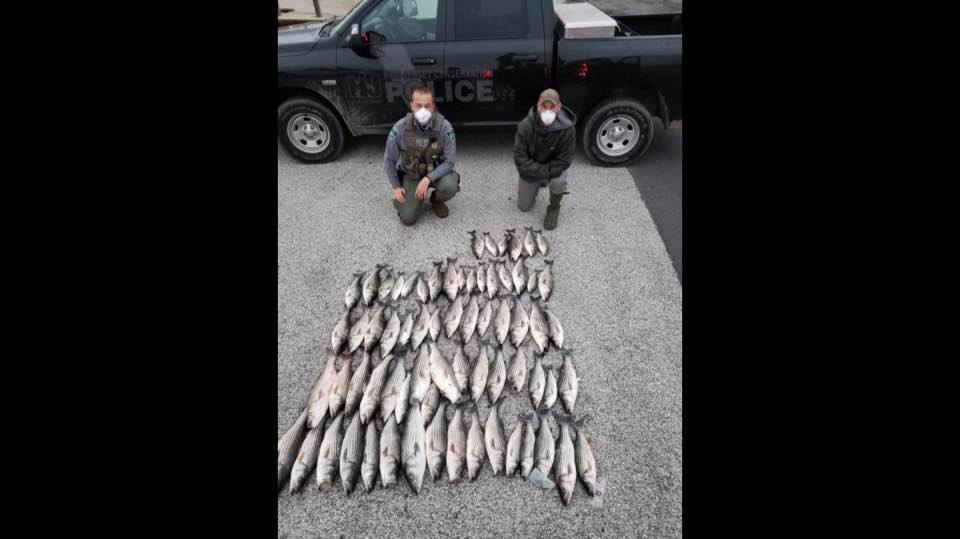 93630879_10112483153517169_3876513554383241216_n (New Jersey Division of Fish and Wildlife image)