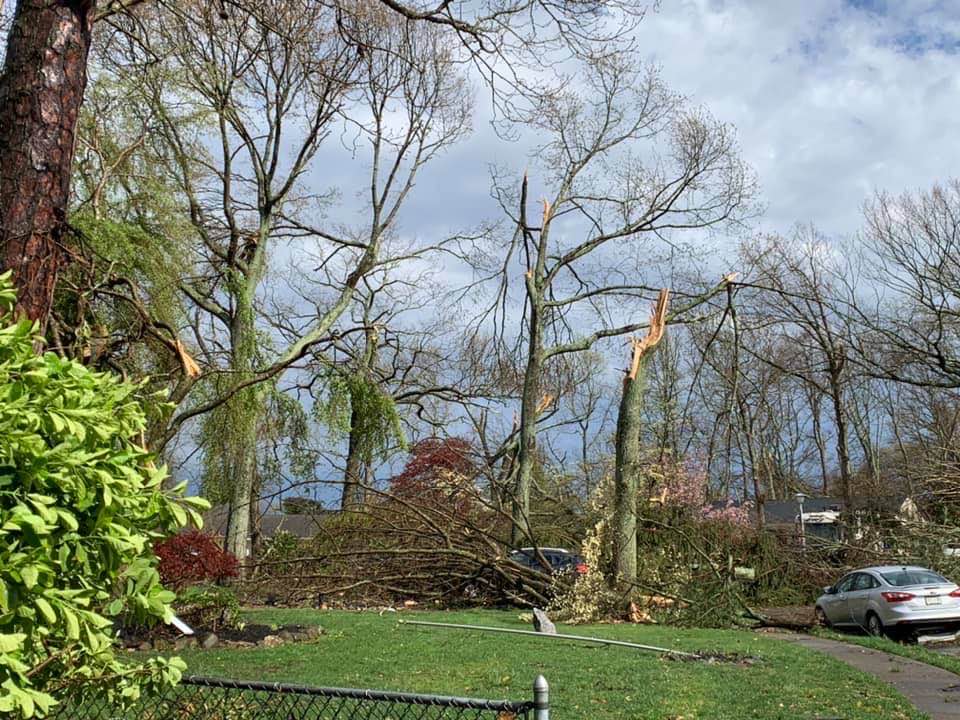 94180570_10112533899651509_1994464417193918464_n Storm damage Tuesday afternoon in the area of Bay Avenue and Twin Oaks Drive in Toms River. (Photo courtesy of Tom Damiano, as submitted to JSHN)