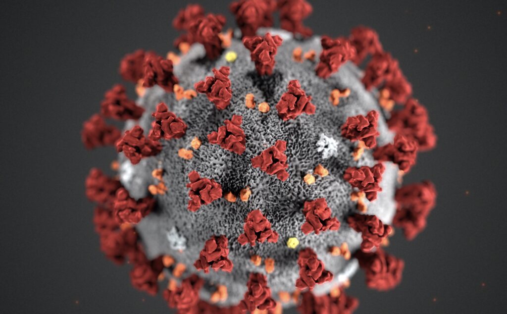 China Outbreak Virus Name This illustration provided by the Centers for Disease Control and Prevention (CDC) in January 2020 shows the 2019 Novel Coronavirus (2019-nCoV). (CDC via AP, File)