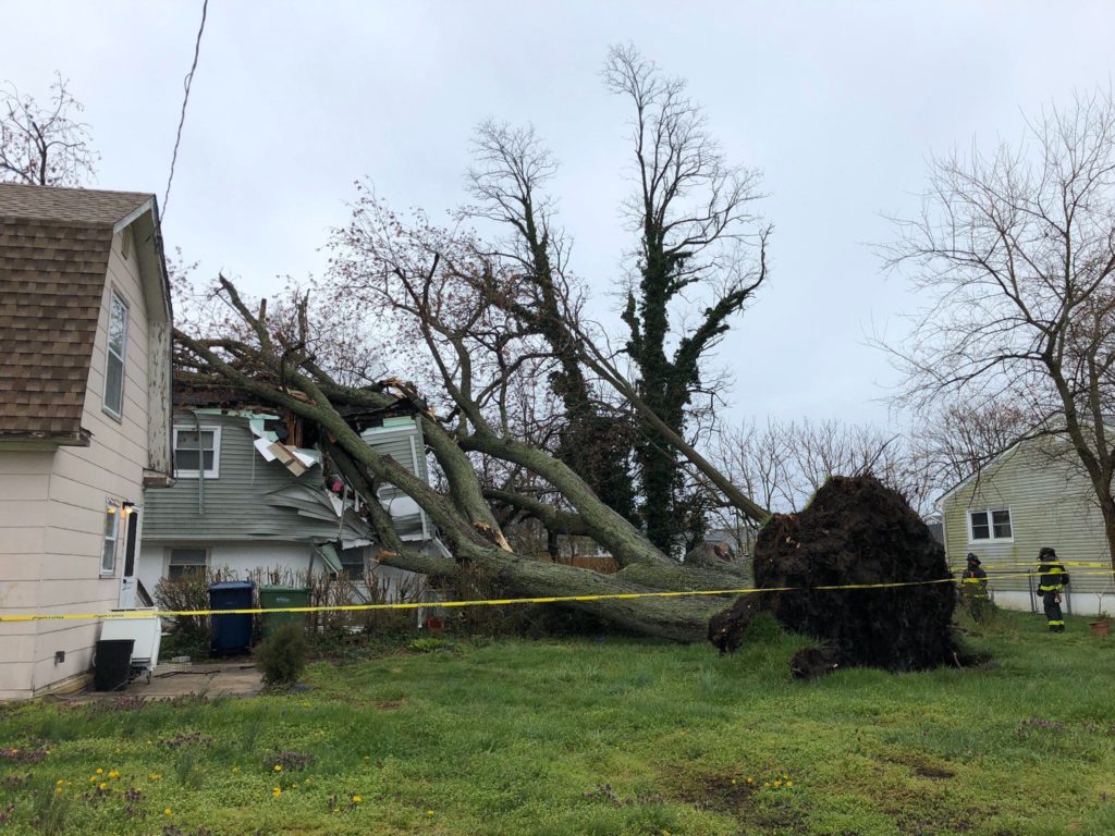 Image from iOS (27) A large tree fell on a home in Neptune Township on April 9. No one was injured. (Courtesy of Neptune Township OEM)