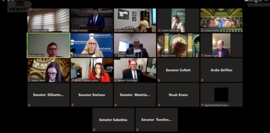 Pa. senators participated and witnesses from Gov. Tom Wolf's administration participated in a remote hearing.