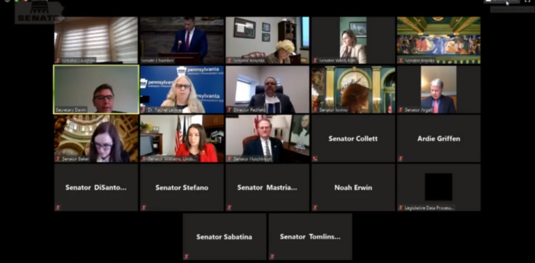 Pa. senators participated and witnesses from Gov. Tom Wolf's administration participated in a remote hearing.
