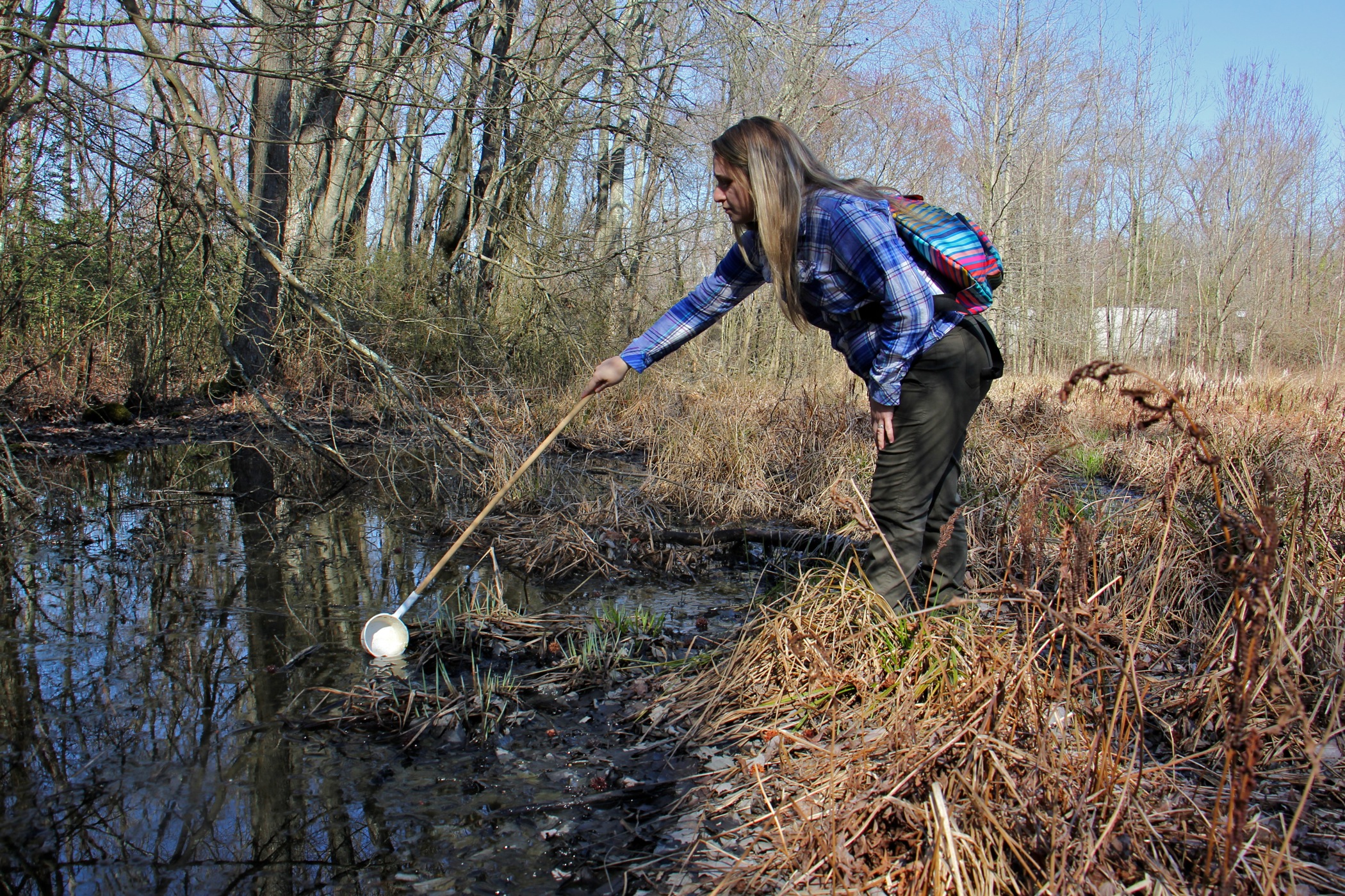 Autumn Angelus collects a water sample from a vernal pool at Elmer Lake Wildlife Management Area. (Emma Lee/WHYY)