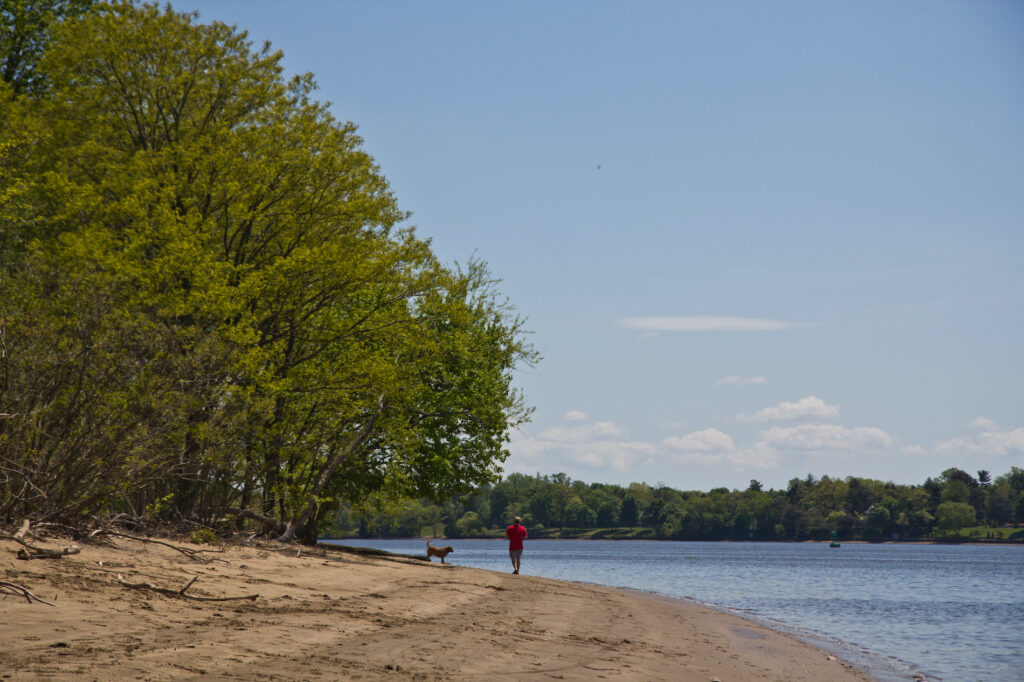 2020 5 14 8 k paynter neshaminy state park limited open-8 A person walks along a beach in Neshaminy State Park in Bucks County.