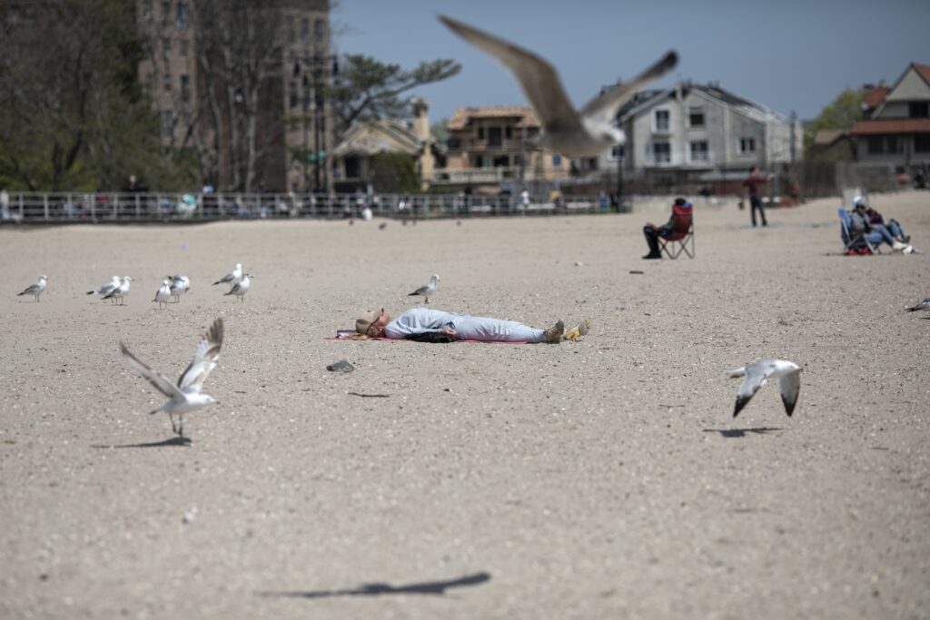 APTOPIX Virus Outbreak New York A woman sleeps on Brighton beach undisturbed by seagulls fluttering around her in the Brooklyn borough of New York, on Saturday, April 25, 2020. (AP Photo/Wong Maye-E)
