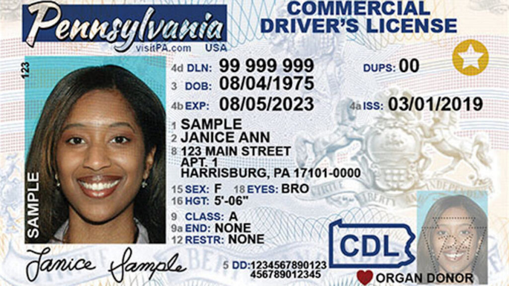 realid-1 A REAL ID driver’s license sample for Pennsylvania. (PennDOT)