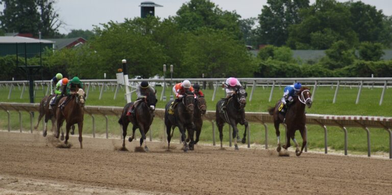 The field of horses races down the front stretch on opening day at Delaware Park in Stanton, Delaware. (Mark Eichmann/WHYY)