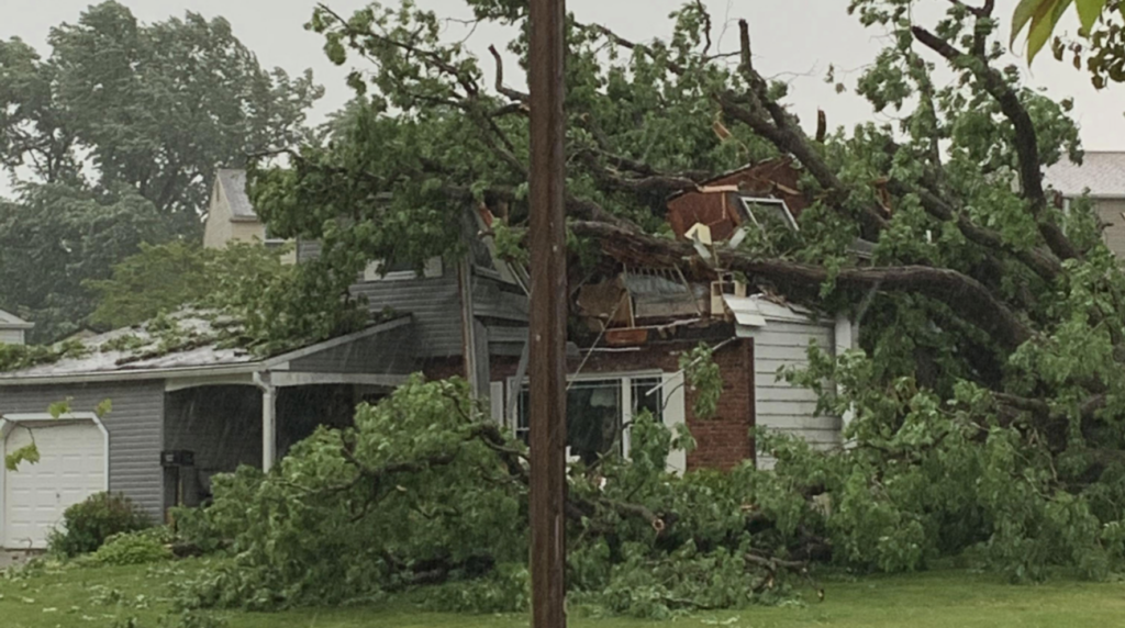 (Screenshot via NBC10)