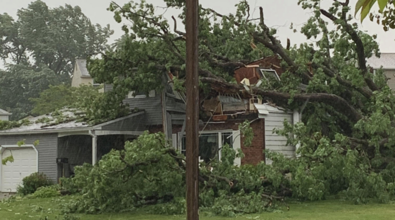 (Screenshot via NBC10)