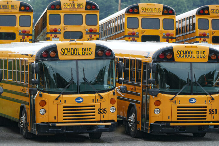 Rows of school buses