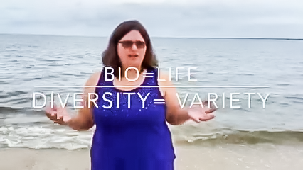 Biodiversity in the Delaware Bay
