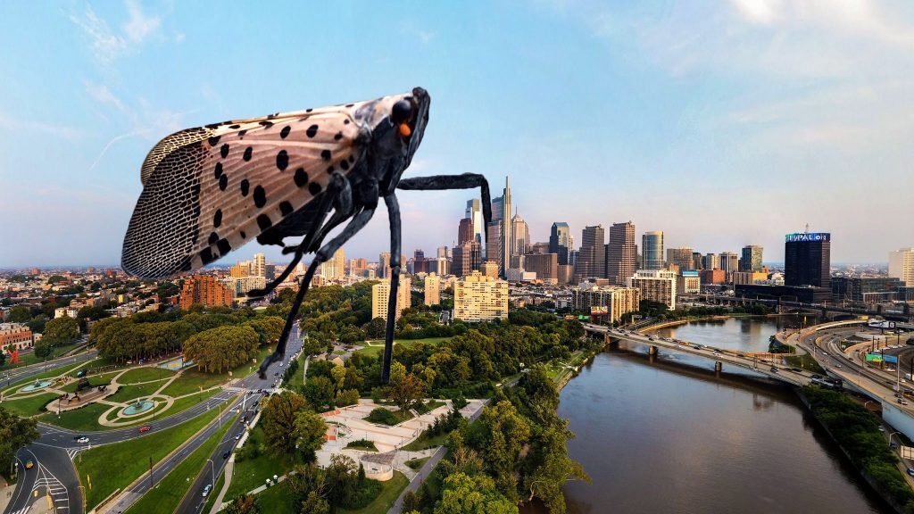 lanternfly-skyline-1024×576 (Billy Penn illustration)