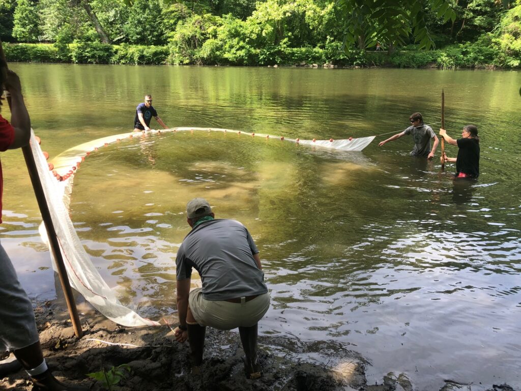 image1 (1) Scientists fishing in the Brandywine Creek, at the site of the former West Street dam in Delaware. (Jim Shanahan/Brandywine Shad 2020)