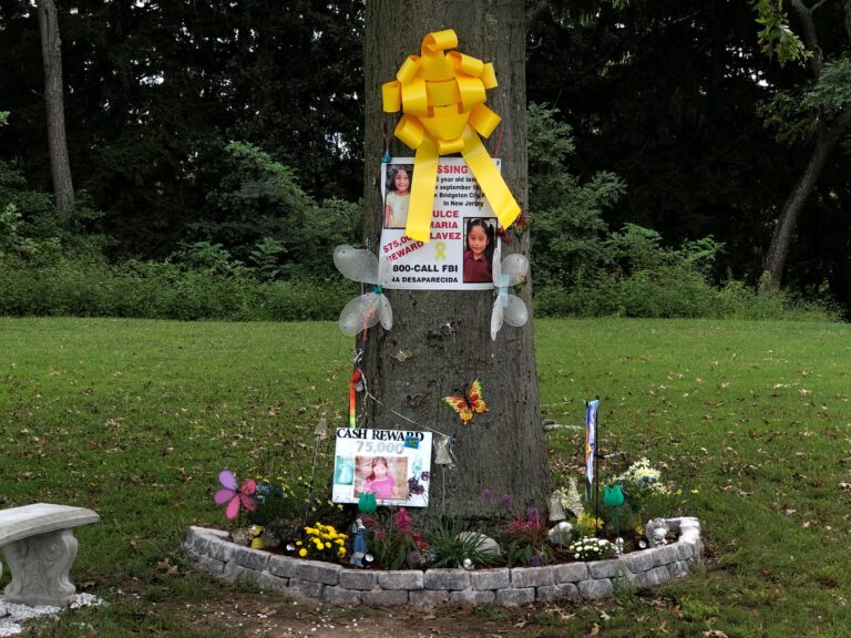 A tree in Bridgeton City Park dedicated to Dulce Maria Alavez