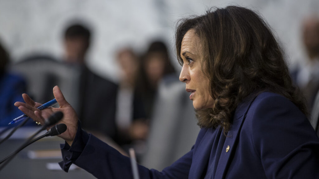Sen. Kamala Harris, D-Calif., questions Supreme Court nominee Brett Kavanaugh during his 2018 confirmation hearing on Capitol Hill. That took place in the run-up to her presidential bid. Now, she’ll face the spotlight as her party’s vice presidential nominee. Sen. Kamala Harris, D-Calif., questions Supreme Court nominee Brett Kavanaugh during his 2018 confirmation hearing on Capitol Hill. That took place in the run-up to her presidential bid. Now, she'll face the spotlight as her party's vice presidential nominee. (Zach Gibson/Getty Images)