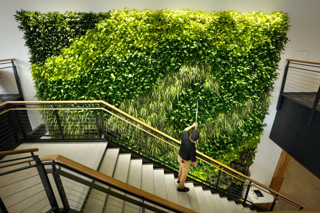Architects say making the office more like the outdoors — with filtered air and good ventilation — will be a priority post-pandemic. This living wall in the Danielle N. Ripich Commons at the University of New England in Biddeford, Maine, is one such approach. Architects say making the office more like the outdoors — with filtered air and good ventilation — will be a priority post-pandemic. This living wall in the Danielle N. Ripich Commons at the University of New England in Biddeford, Maine, is one such approach. (Gregory Rec/Portland Press Herald via Getty Images)