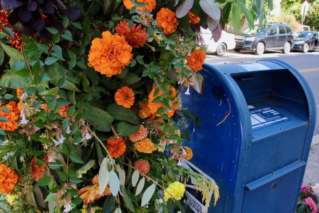 2020 10 14-e lee-philadelphia-united by blooms mailbox decoration 1 A mailbox decorated with orange flowers