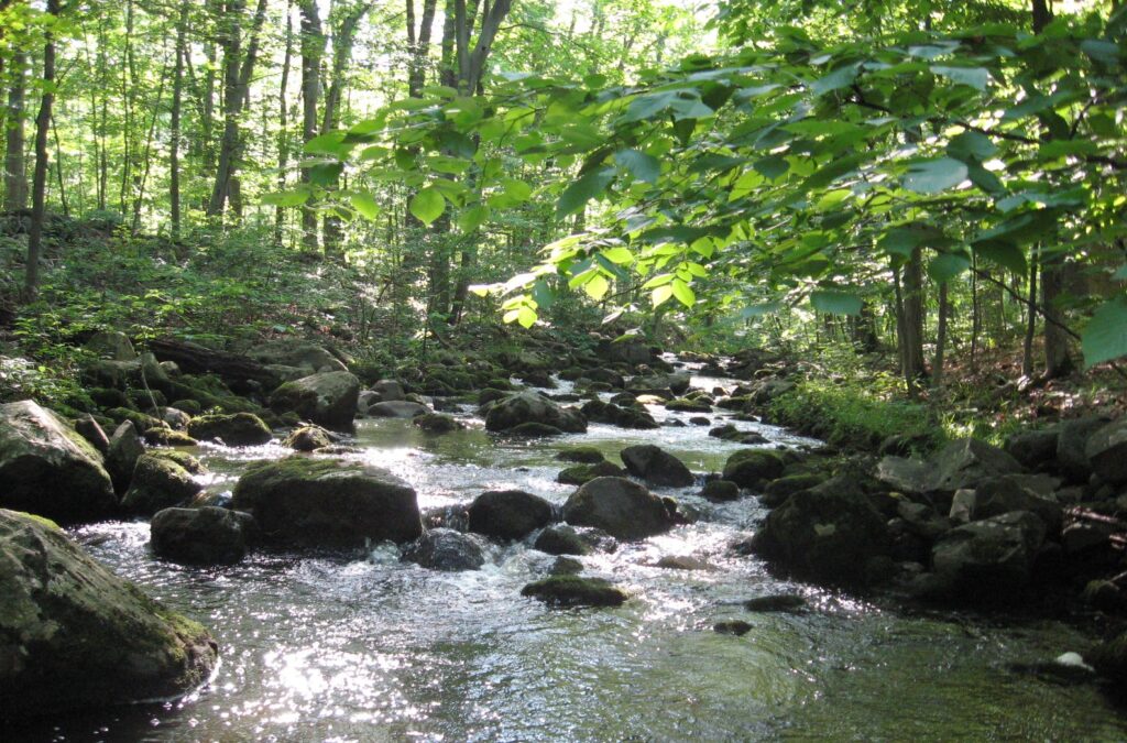 tohickon_creek_bucks_county_watershed_101420 Upper Tohickon Creek in Bucks County