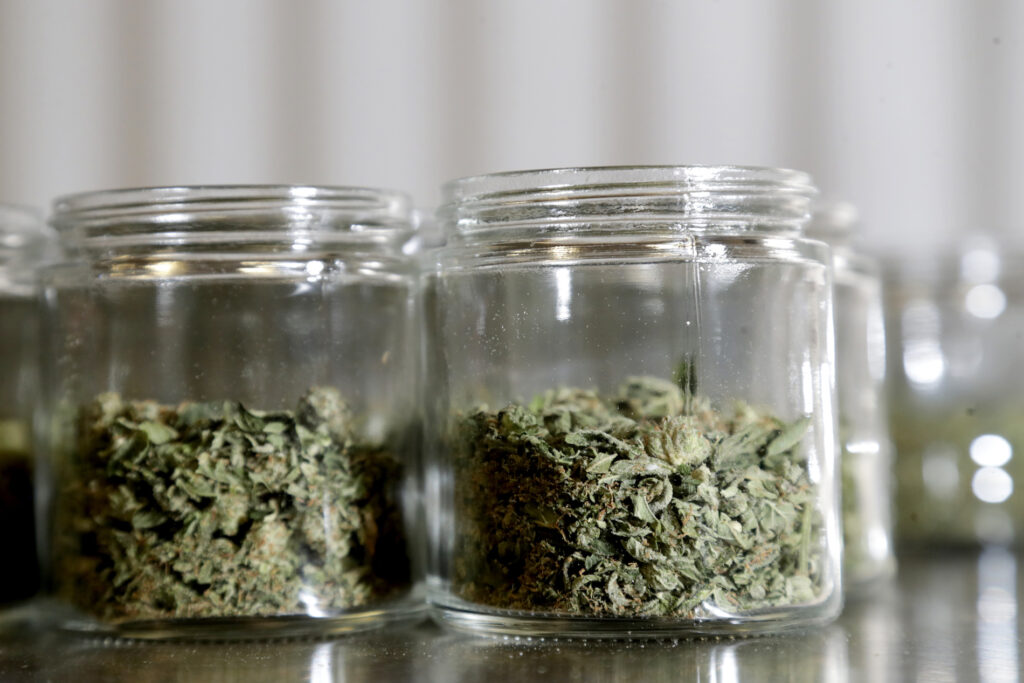 Marijuana buds are seen in a prescription bottle