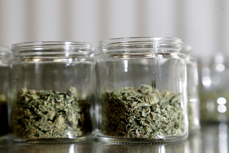 Marijuana buds are seen in a prescription bottle