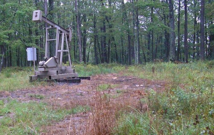Dead vegetation around a conventional well indicating a possible brine spill. (Courtesy of Pennsylvania DEP)