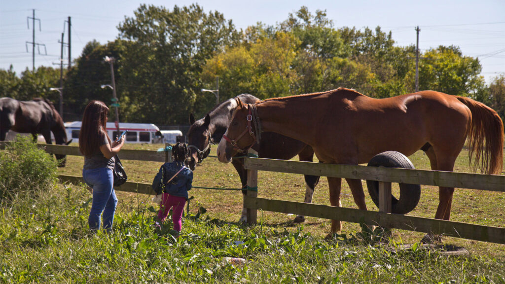 fletcherstreetstables-kimpaynter03 Neighbors say hello to the horses grazing at the lot across from the Fletcher Street Stables in North Philadelphia.