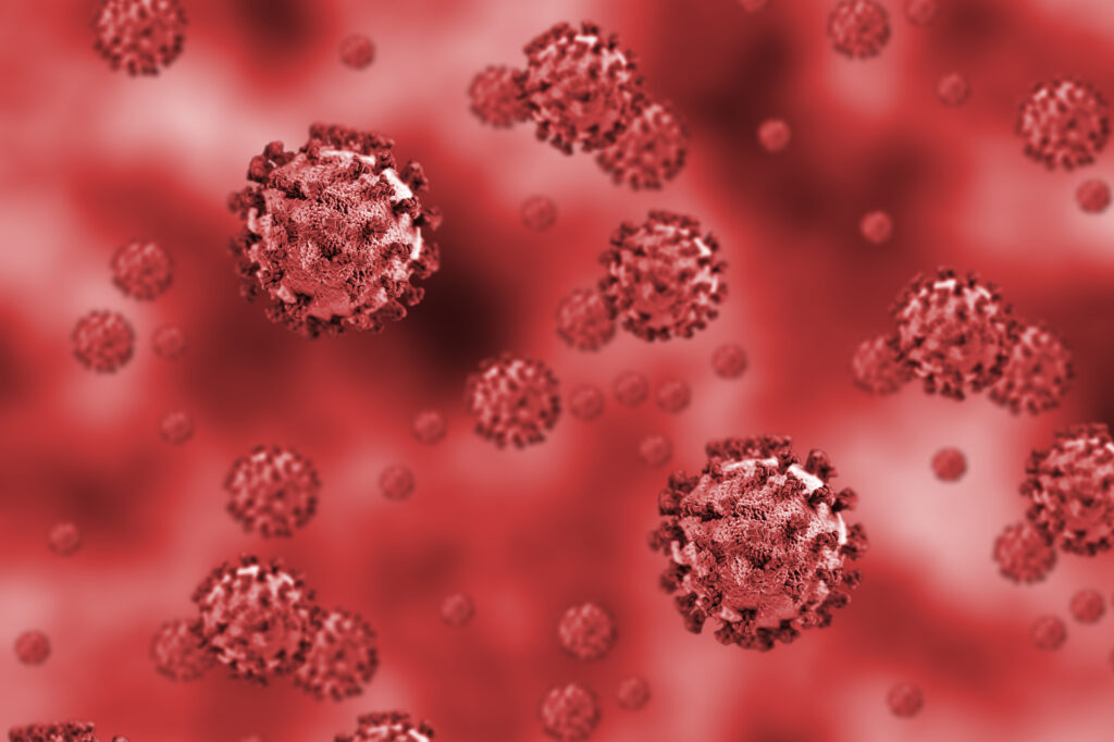 COVID-19 can cause symptoms that go well beyond the lungs, from strokes to organ failure. To explain these widespread injuries, researchers are studying how the virus affects the vascular system. (Jasmin Merdan/Getty Images)