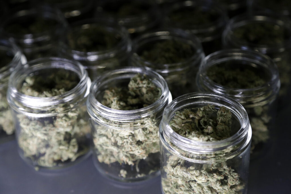 Marijuana New Jersey Marijuana buds are seen in a prescription bottle as they are sorted at Compassionate Care Foundation's grow house