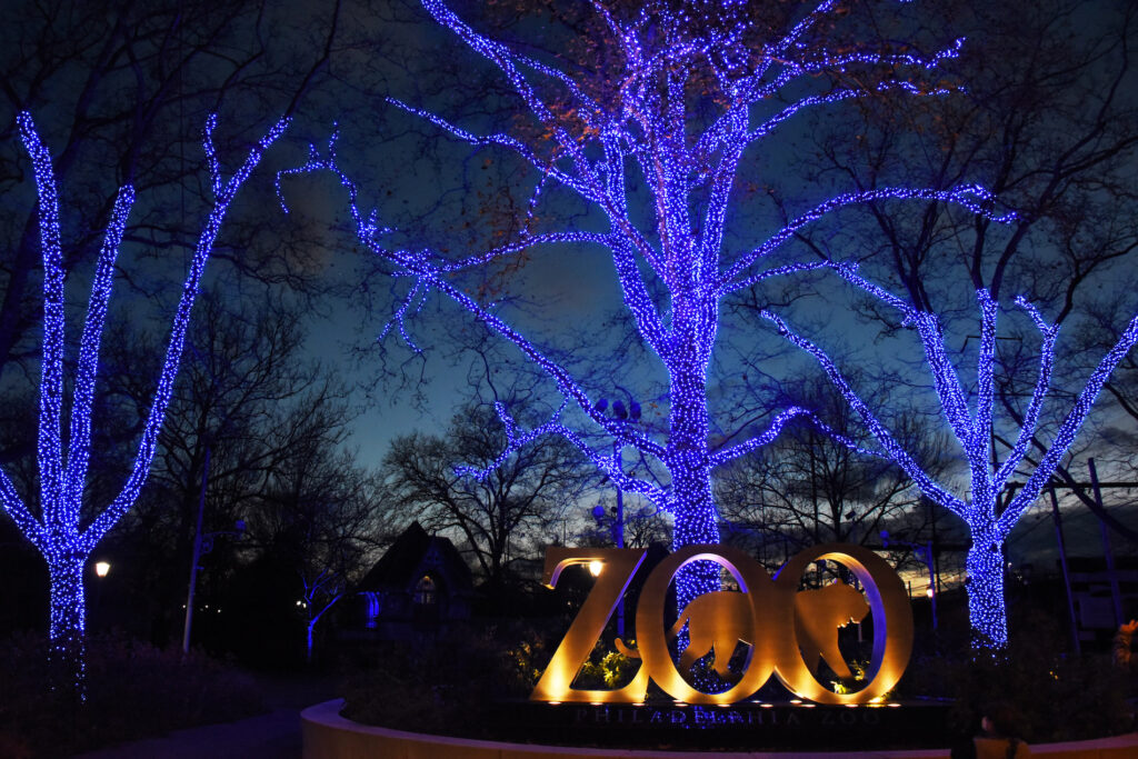 HJD_5828 The Philadelphia Zoo is aglow with blue lights to thank frontline workers. (Photo by Hughe Dillon)
