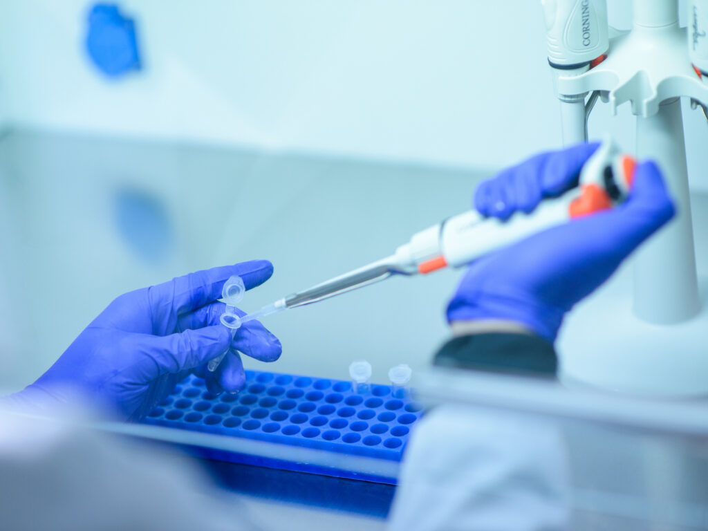 News of a good immune response in animals bodes well for testing future COVID-19 vaccines. News of a good immune response in animals bodes well for testing future COVID-19 vaccines. (CMB/Getty Images)