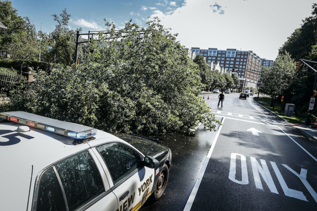 Riskiest Places Police officers direct traffic around a fallen tree brought down by heavy rains and wind, Tuesday, Aug. 4, 2020, in West New York, N.J. (AP Photo/John Minchillo)
