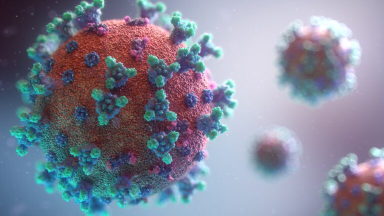 Many coronaviruses in the form of a 3D illustration.