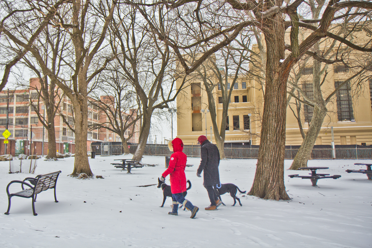 Two pups and their humans take a snowy walk at Penn Treaty Park
