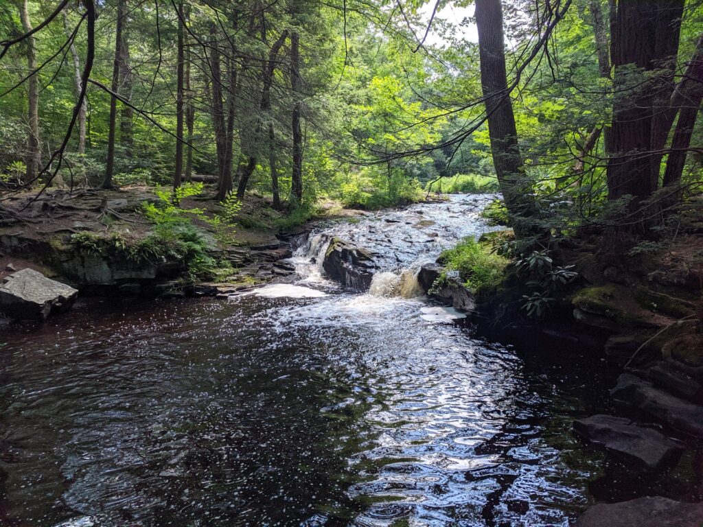 IMG_20200719_120123 The east branch of Wallenpaupack Creek runs through Promised Land State Park in Pike County. (Rachel McDevitt/StateImpact Pennsylvania)
