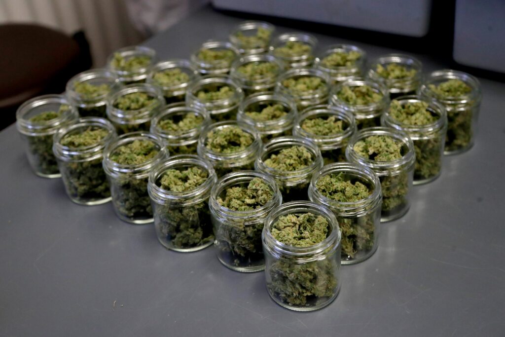 Marijuana New Jersey Marijuana buds are seen in prescription bottles