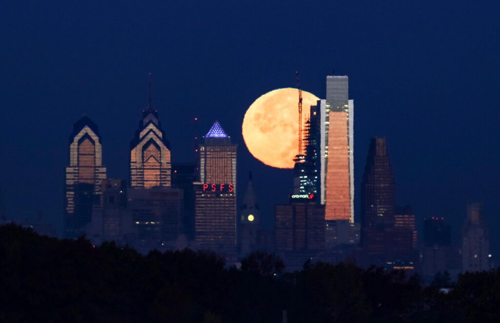 Bird Migration Lights Out Philly (AP Photo/Joseph Kaczmarek,File)