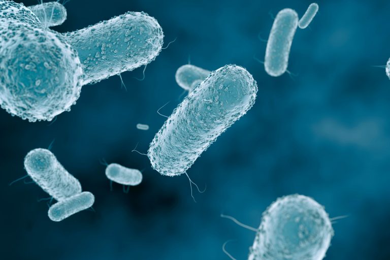 Close-up of virus cells or bacteria