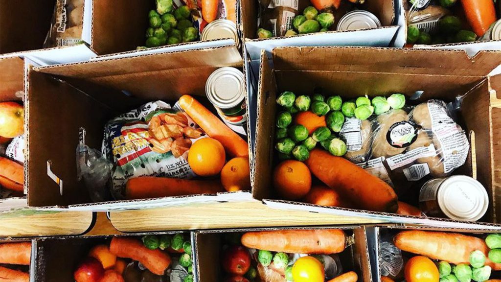bunnyhop-mutualaid-foodboxes Meal boxes prepared by Bunny Hop PHL in December 2020 (Instagram/@BunnyHopPHL)