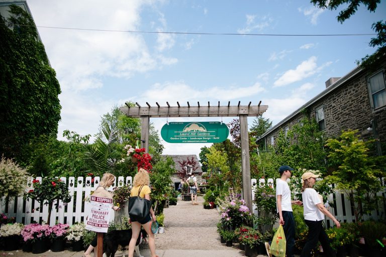 chestnut hill home and garden stroll