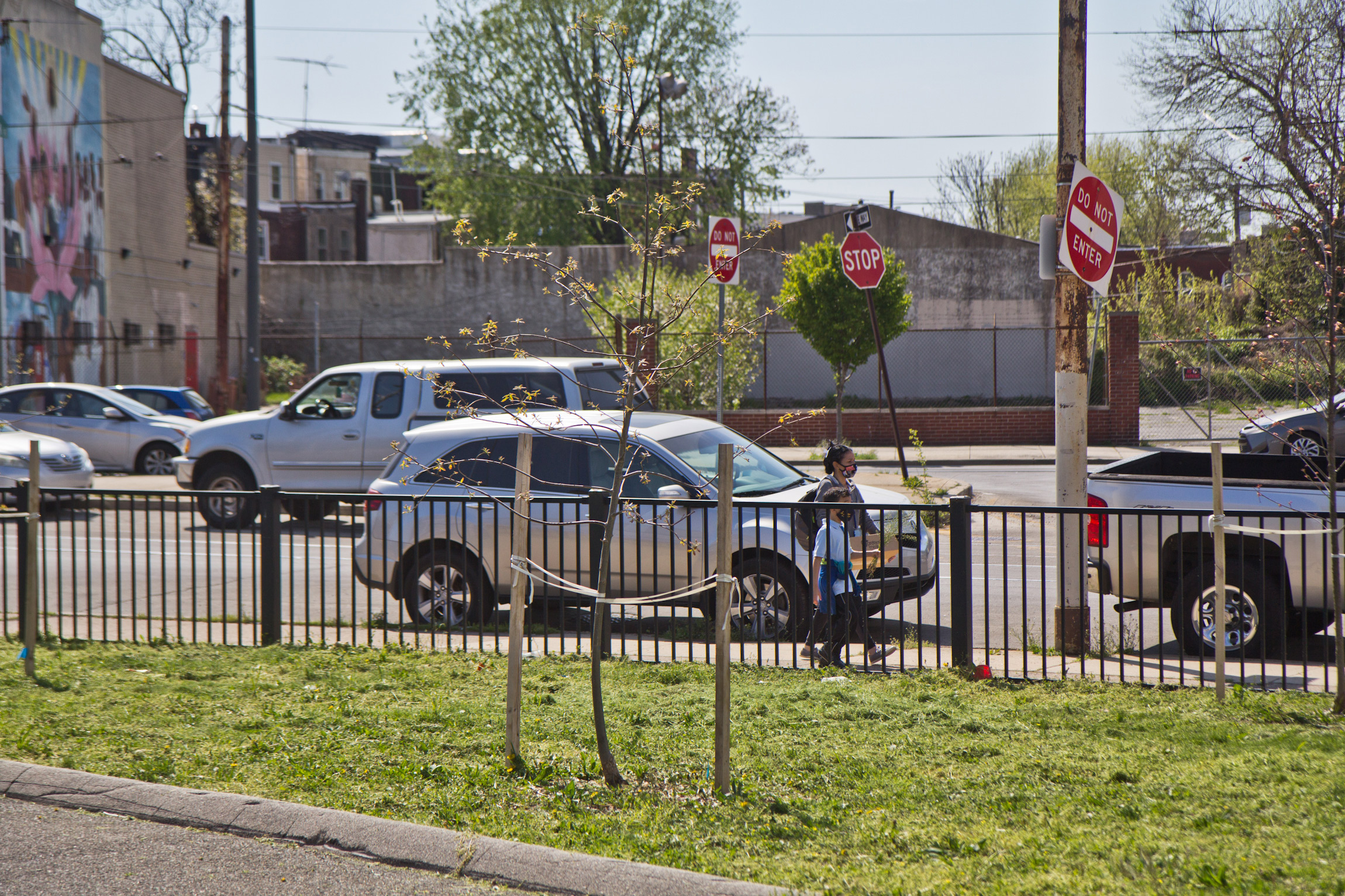 Trees were planted on the grass in front of Mary McLeod Bethune Elementary in the fall of 2020. (Kimberly Paynter/WHYY)