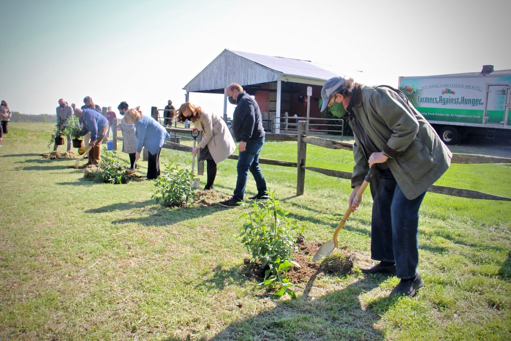 2021 04 23-e lee-delran nj laurel run park-groundbreaking butterfly bushes State and local officials plant butterfly bushes at the groundbreaking for the Laurel Run Land Stewardship Center in Delran, N.J. (Emma Lee/WHYY)